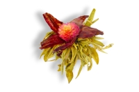 Herbata Kwitnąca ZORZYCA MARZANNY